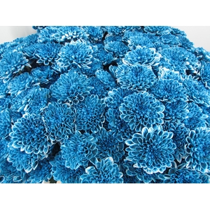 Chr T Altaj Ocean Blue