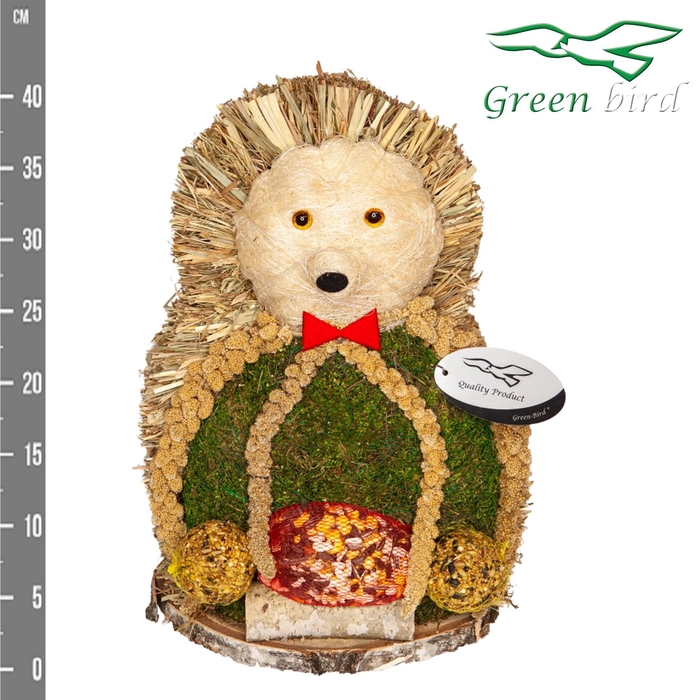 <h4>VOGELZ FIGUUR H%</h4>