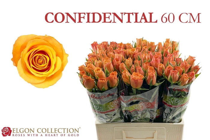 <h4>R GR CONFIDENTIAL</h4>