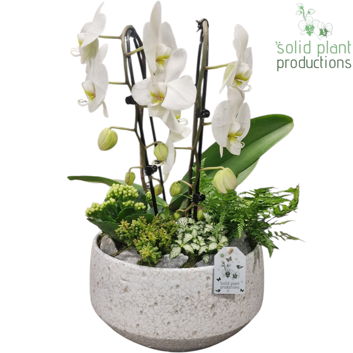 <h4>PH110 Sophia Broken White</h4>