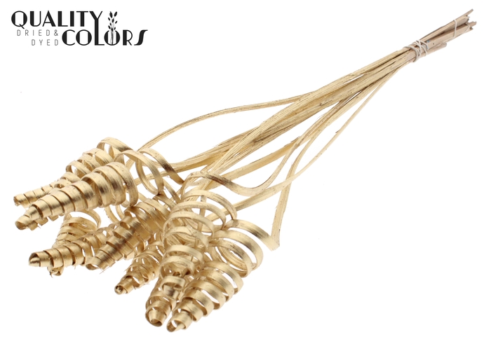 Cane Cone on stem Antique Gold