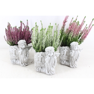 arr4 Outdoor JS - Ker. engel met pot x5