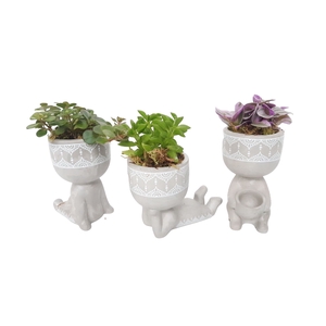 Arr.   Kamerplant Groen L%