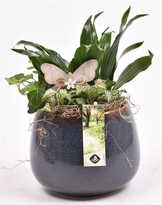 <h4>Keramiek bol pot 16.5cm</h4>