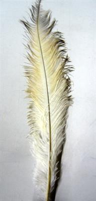 <h4>DROOG STRUISVOGELVEREN WIT</h4>
