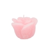 Candle Roos White Pink 8x7cm