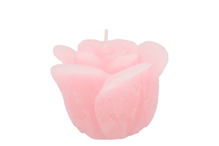 <h4>Candle Roos White Pink 8x7cm</h4>