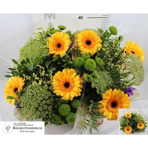 Gem Boe Middel Geel 25 Stelen Vers