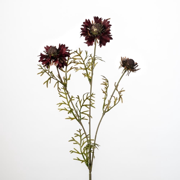 <h4>AF Cornflower x3 L68cm burg</h4>