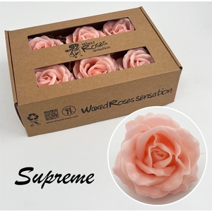Zijde R Supreme Oceana
