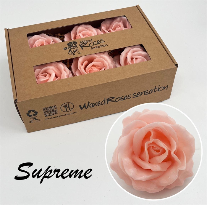 <h4>Zijde R Supreme Oceana</h4>