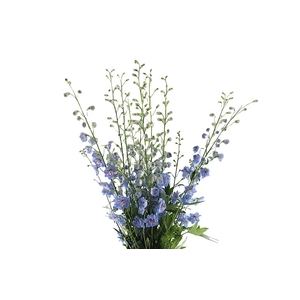 Delphinium Centurion Skyblue Super