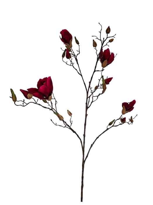 <h4>AF Magnolia L109cm Fuchsia</h4>