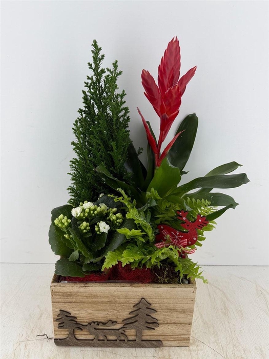 <h4>Arr (9) Hout Vierkant Kerstboom</h4>