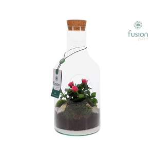 Green Bottle met Potroos