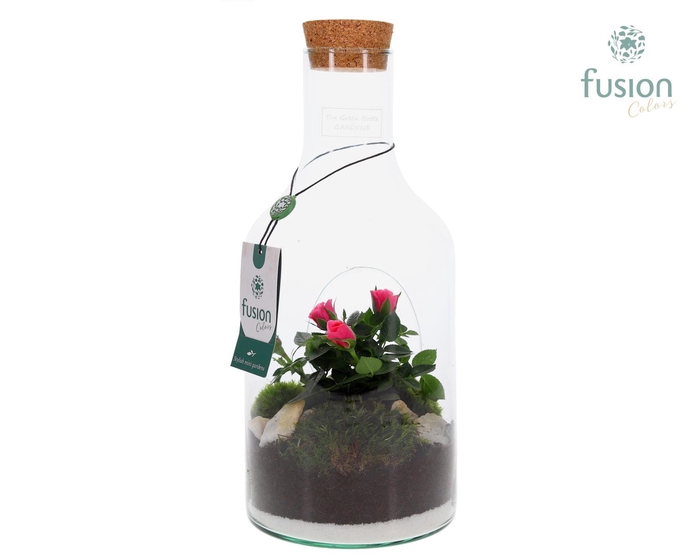 <h4>Green Bottle met Potroos</h4>