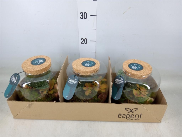 <h4>Arr.    Planten  H%</h4>