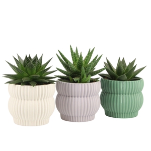 7501388: Solutionss Consideration