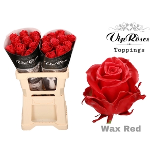 R Gr Wax Red (60cm)