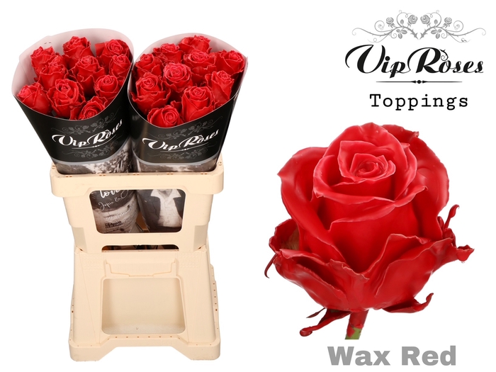 R Gr Vip Wax Red X30