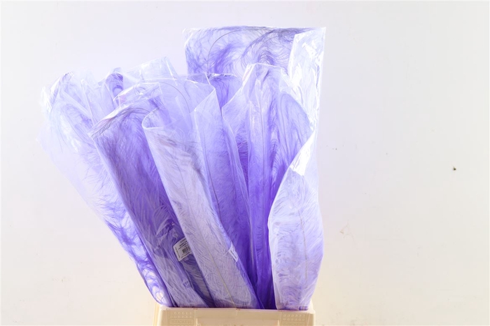 <h4>Feather Ostrich Feathers 55cm 5 Pcs Lilac</h4>