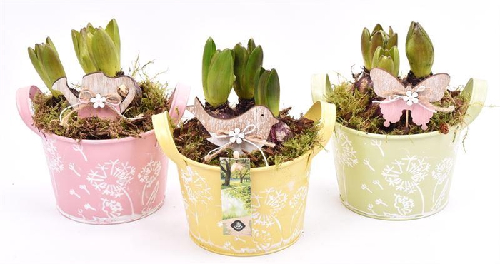 <h4>Zink schaal decor geel 15.5cm</h4>