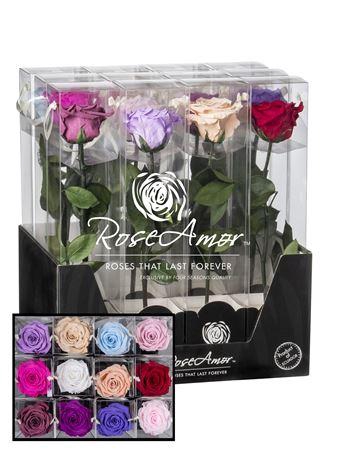 <h4>Display 30cm Stem Assorted Pastel</h4>