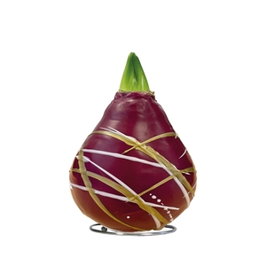 Amaryllis Touch of Wax Art Bordeaux 6x1, rode bloem, Tray236