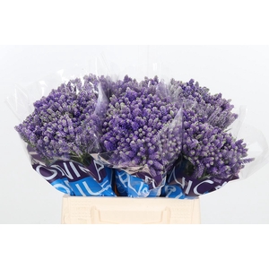 Veron Smart Fountain Spray