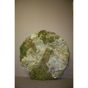 MIX MOSS ROND 40CM