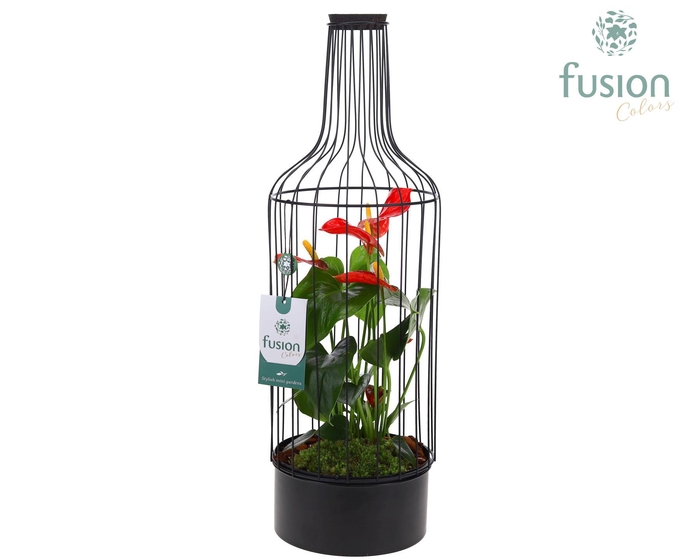 <h4>Metaal fles zwart Large met Anthurium</h4>