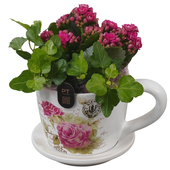 <h4>Arr.    Planten  L%</h4>