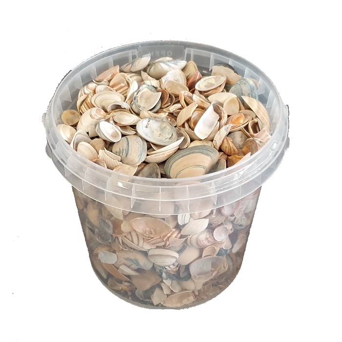 <h4>Shells north sea 1 ltr Natural</h4>