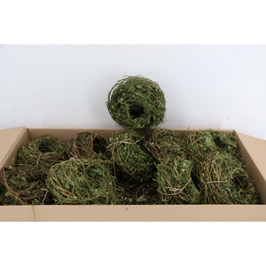 Wreath Hop Branches Ø15