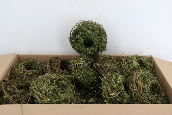 <h4>Wreath Hop Branches Ø15</h4>