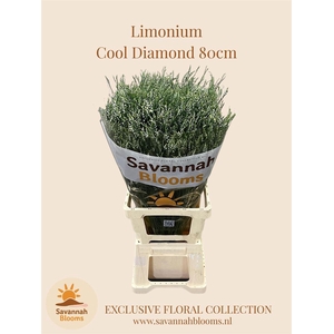 Lim Sin Cool Diamond