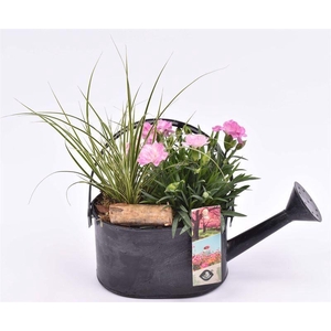 Zink gieter grijs 23x11cm