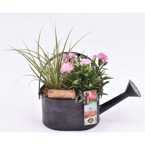 Zink gieter grijs 23x11cm