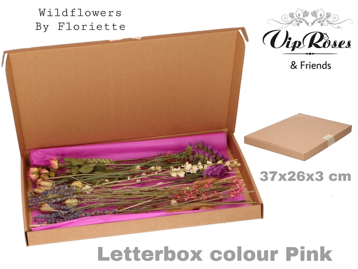 DRIED LETTERBOX PINK