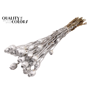 Papaver per bunch Silver