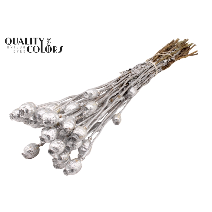 <h4>Papaver per bunch Silver</h4>