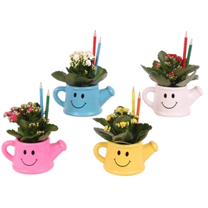 Thank you Teacher Arr. Indoor Ceramic Watering Can Smiley Ø17cm