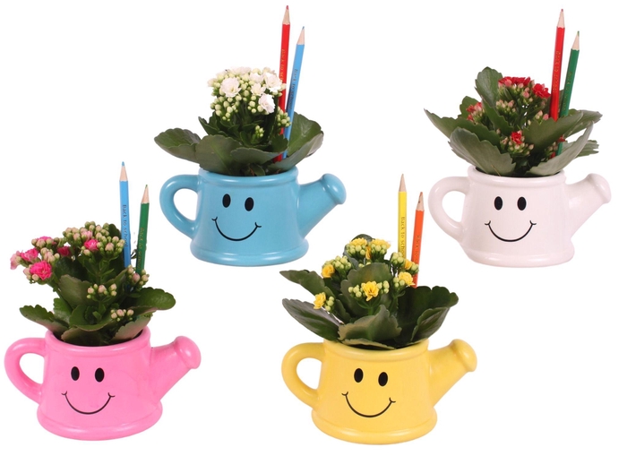 <h4>Thank you Teacher Arr. Indoor Ceramic Watering Can Smiley Ø17cm</h4>