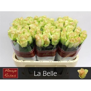 R Gr La Belle