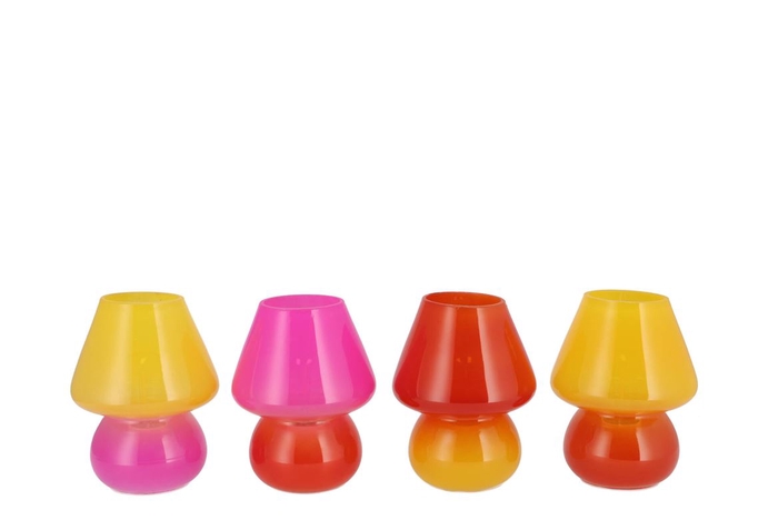 <h4>Bicolore Dutch Orange Mix Led Mushroom Ass 12x15cm</h4>