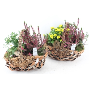 arr4 Outdoor PL - Hengselmand