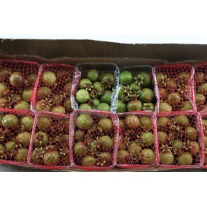 Sier Granaatappel Red Green X12 P Box