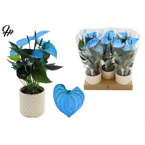 Anthurium 12 cm Make-Upz Blue in Diamond Pearl Travertine ceramics