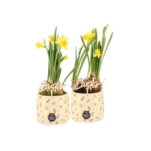 70878: Easter arrangement