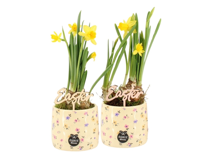 <h4>70878: Easter arrangement</h4>